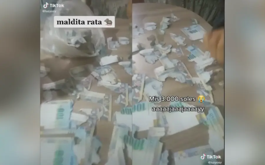 rata_dinero