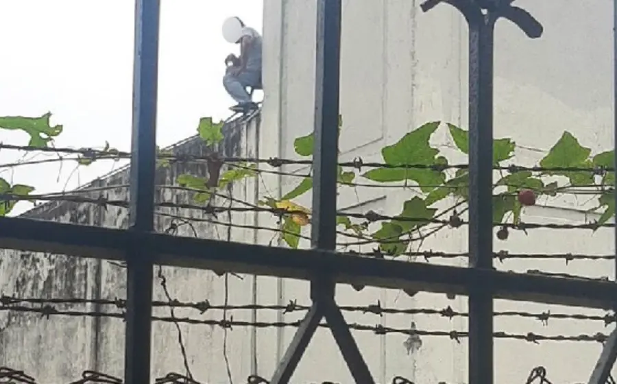 detenido 