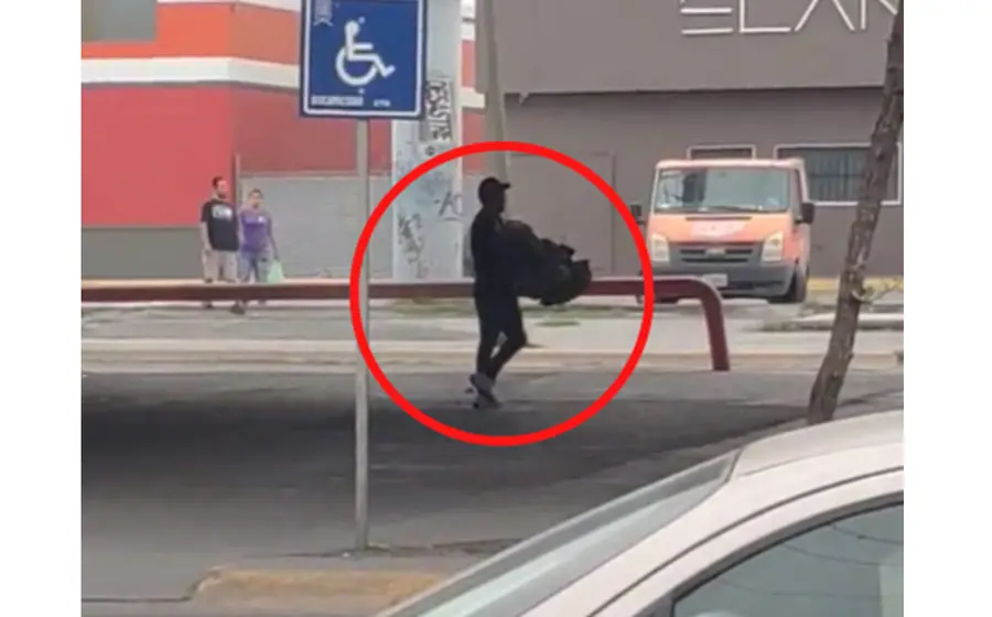 En las imágenes se puede observar a una persona que atrapa a estos animales bajo un puente vehicular. 