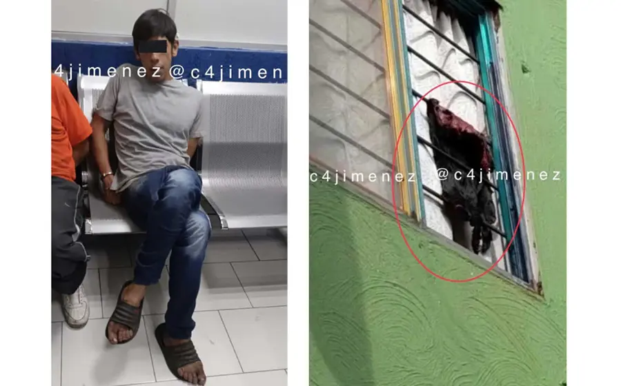 El joven quitaba la piel a los perros y la colgaba en la ventana de su casa como tendedero.