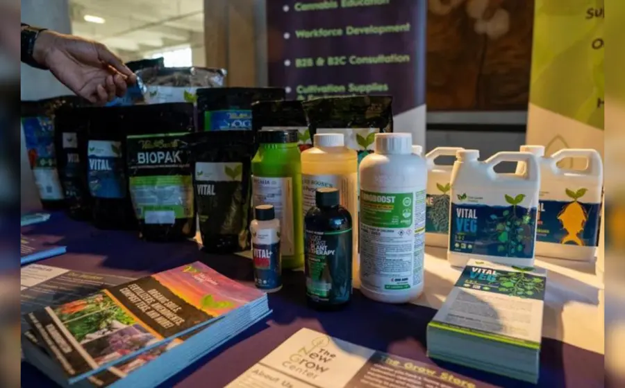 usos_cannabis_medicinal