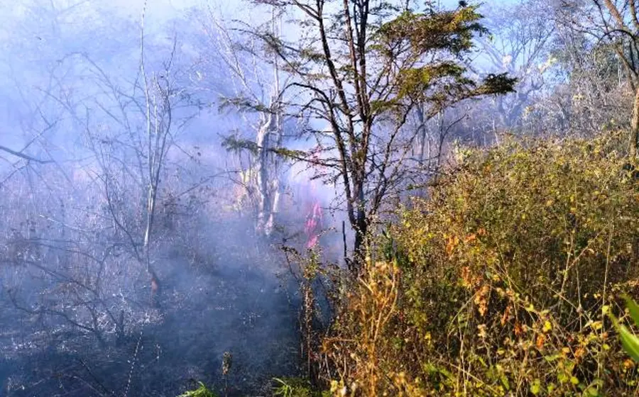 Incendio forestal