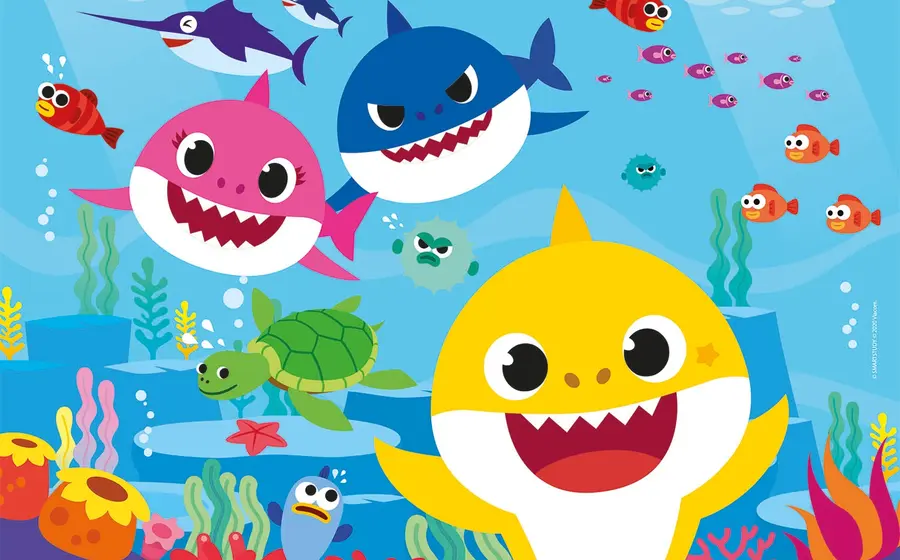 baby shark 