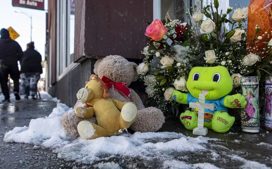 juguetes-flores-nieve