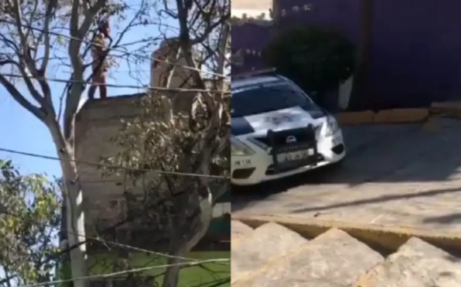 Vecinos refieren que el sujeto era conocido como "El Púas" y se encontraba huyendo de la policía.