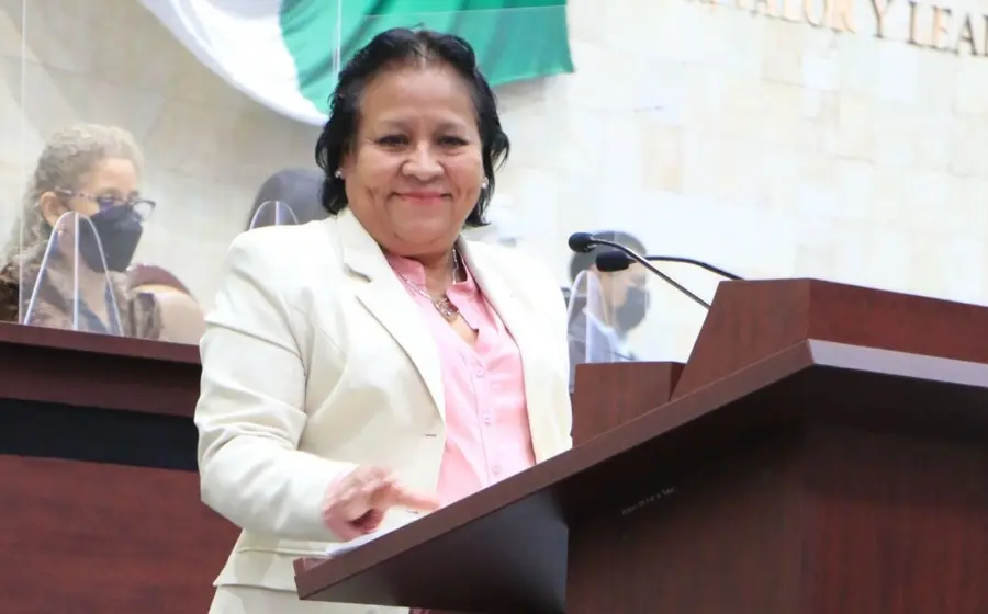 Diputada Leticia Collado Soto
