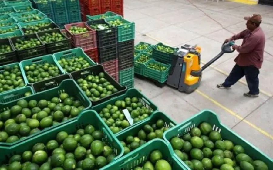 Limones 