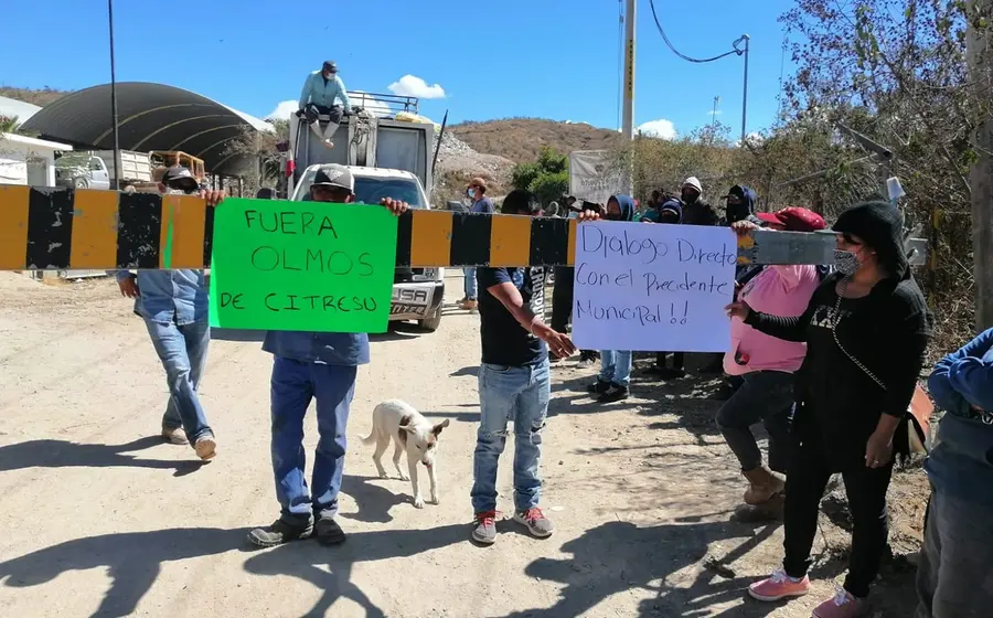 manifestantes 