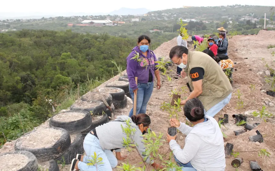 gente-plantando
