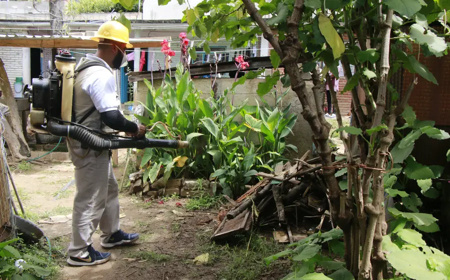 fumigación-en-jardin