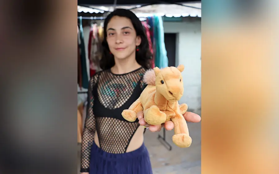 con-venta-de-peluches-buscan-ayudar-animales 