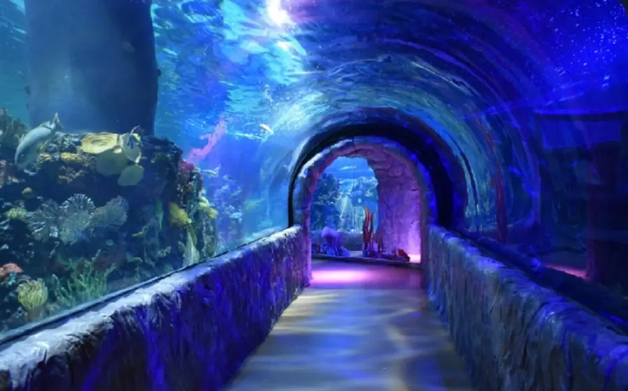 acuario-de-mexico