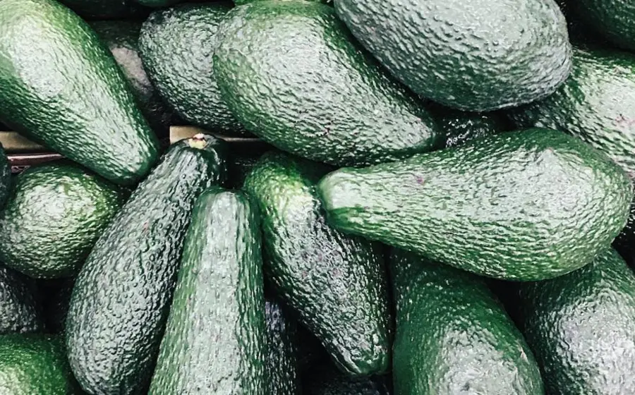 monton-de-aguacates 