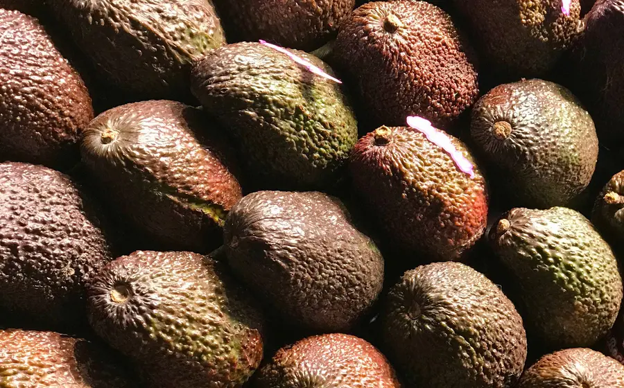 monton-de-aguacates 
