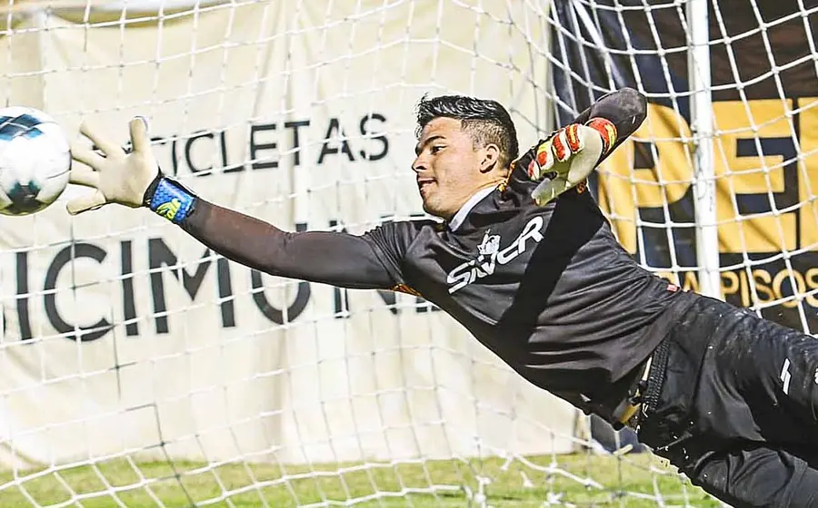 Alebrijes-de-oaxaca-entrenamiento 