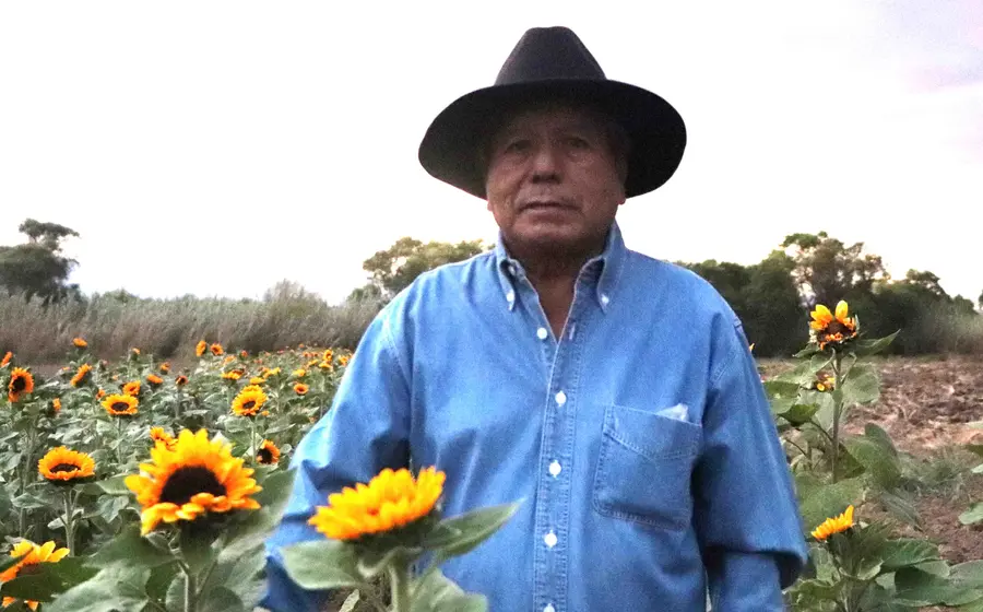 campesino-y-girasoles