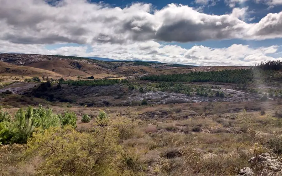 monte-en-la-mixteca