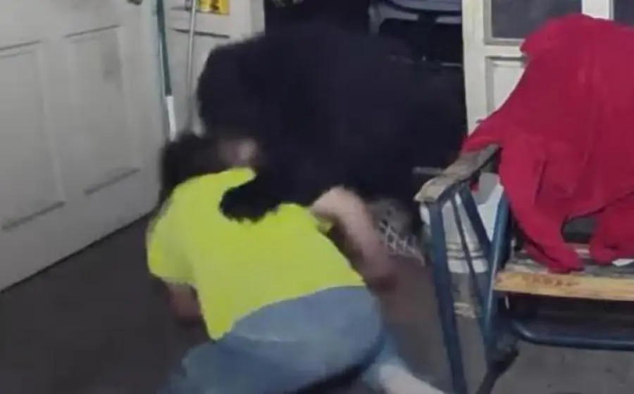 hombre-enfrentando-a-un-oso