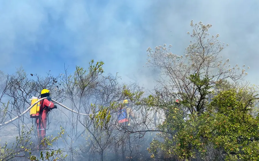 incendio-forestal