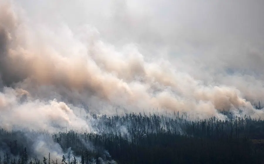 incendio-forestal 