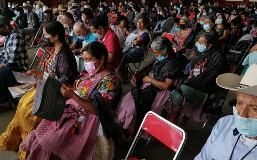 indigenas-candidaturas-elecciones-oaxaca 