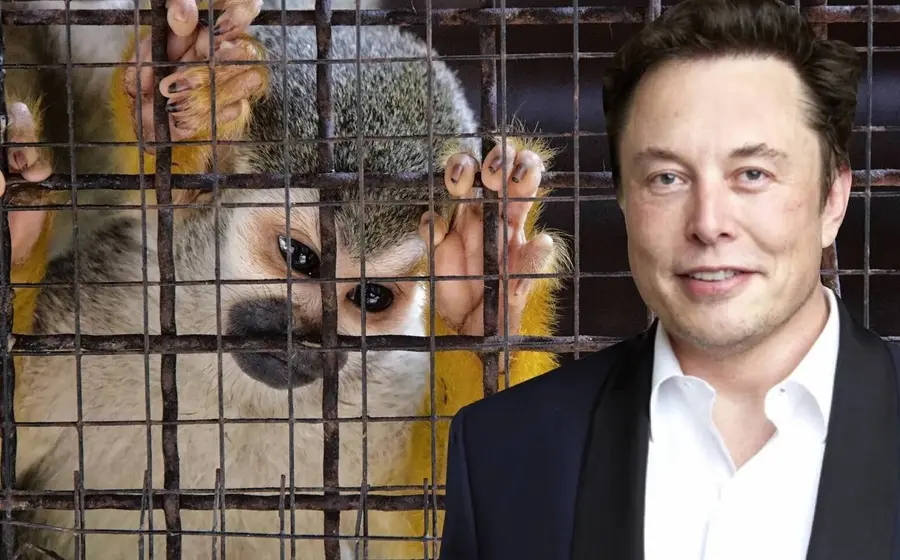mono_elon_musk