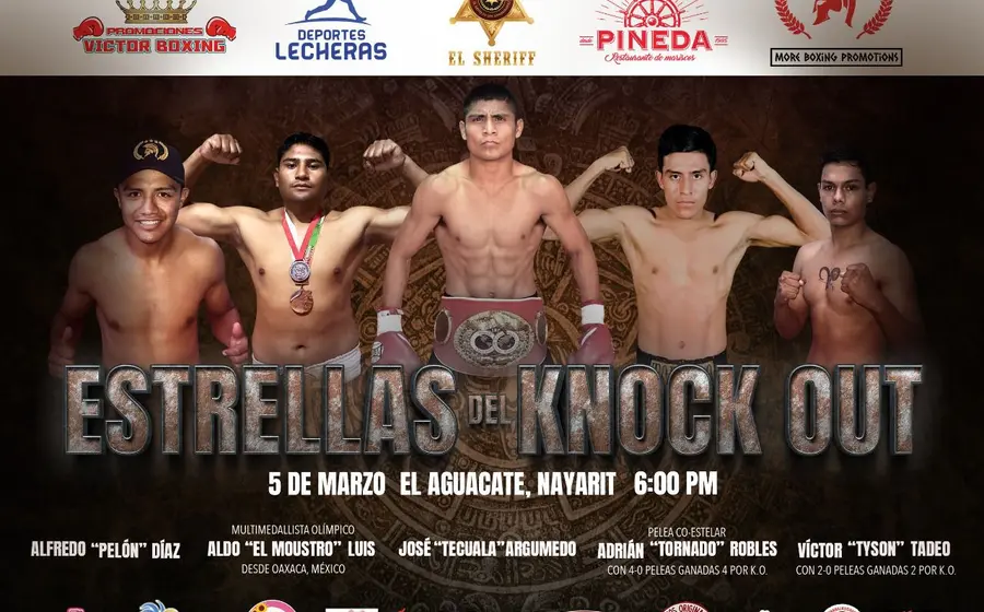 boxeadores-estrellas-del-knock-out