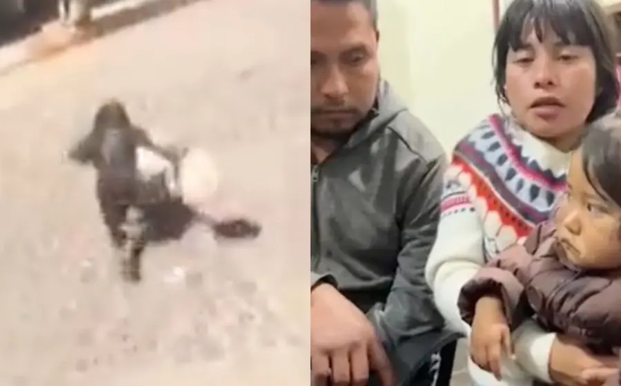 niña-atacada-por-perros