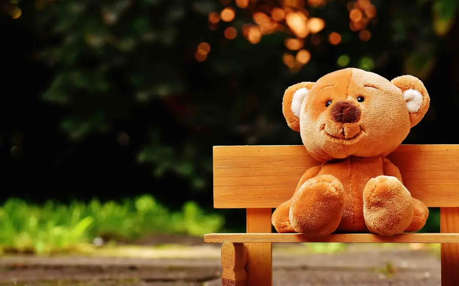 oso-de-peluche 
