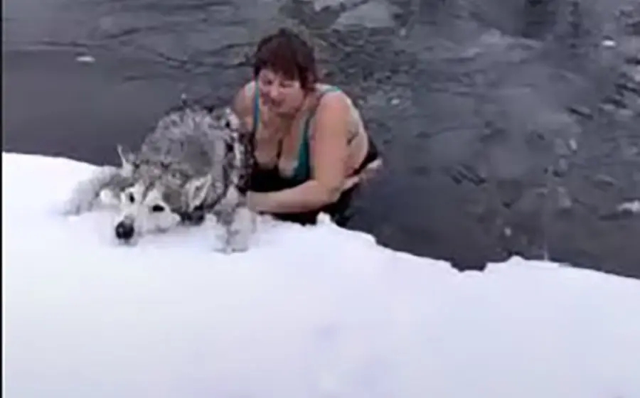 perro_y_mujer