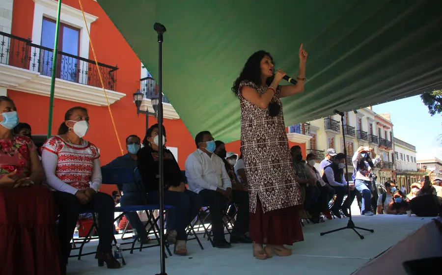 susana-harp-reforma-eléctrica 