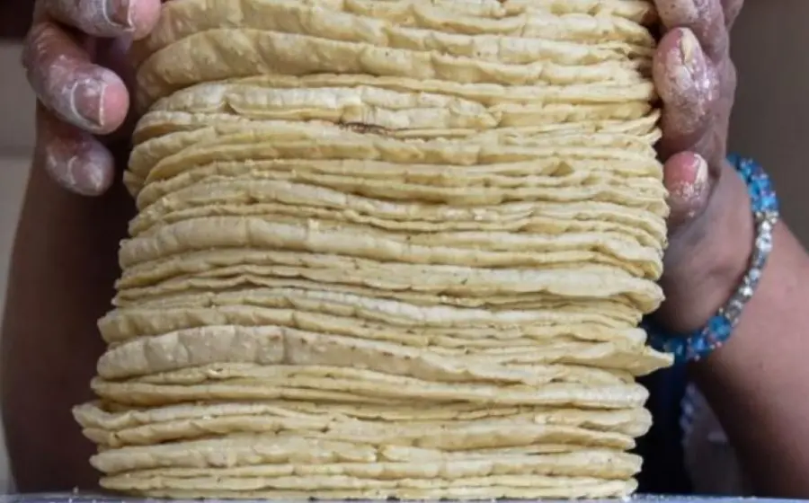 subiría_precio_de_tortillas
