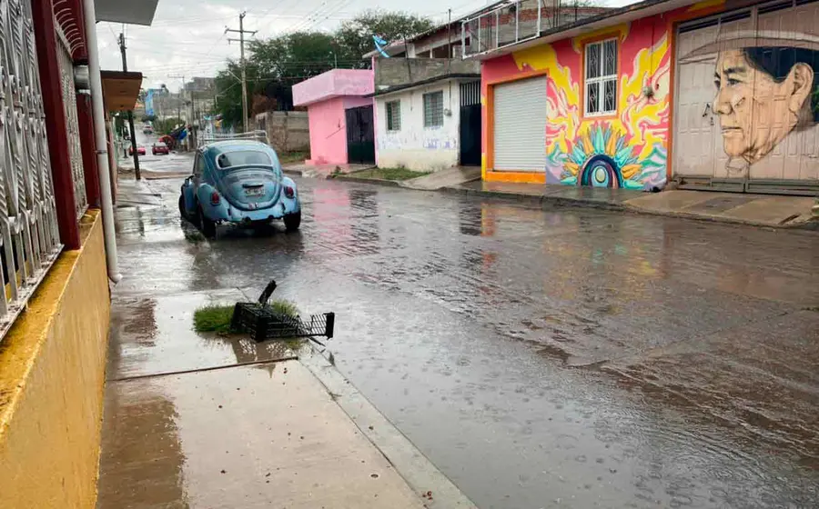 calle 