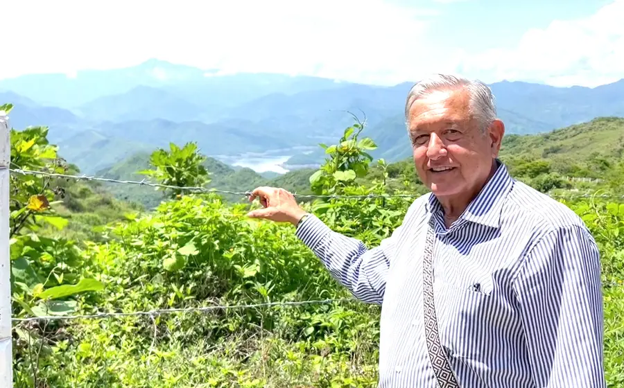 amlo 