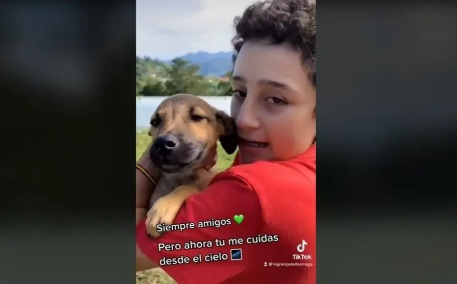 se-despide-de-su-perrito-envenenado