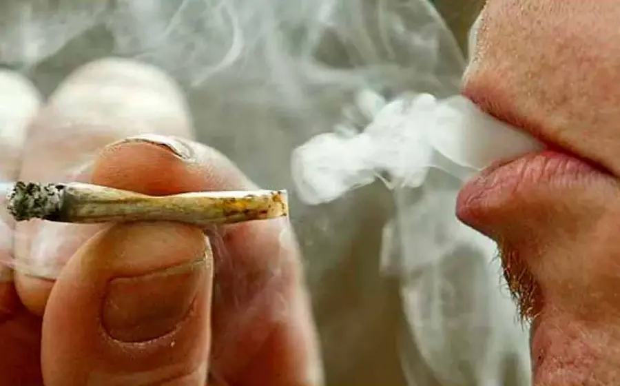 cannabis 
