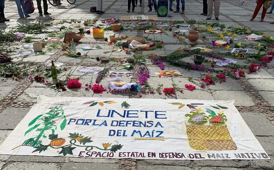 manifestacion