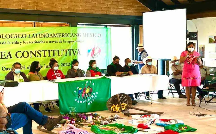 organizacion 