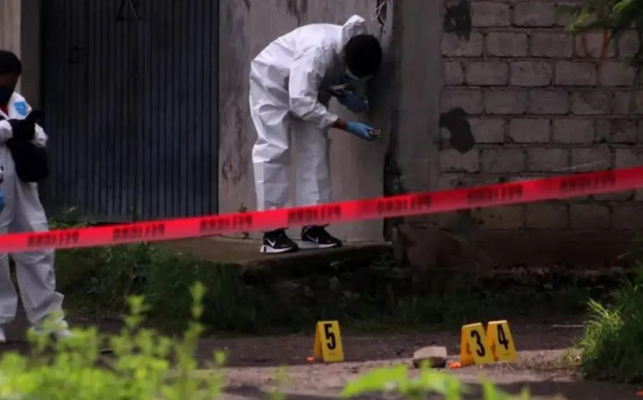 investigación