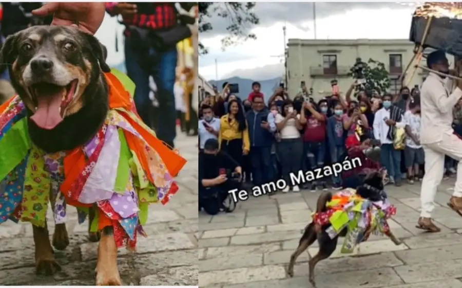 mazapan