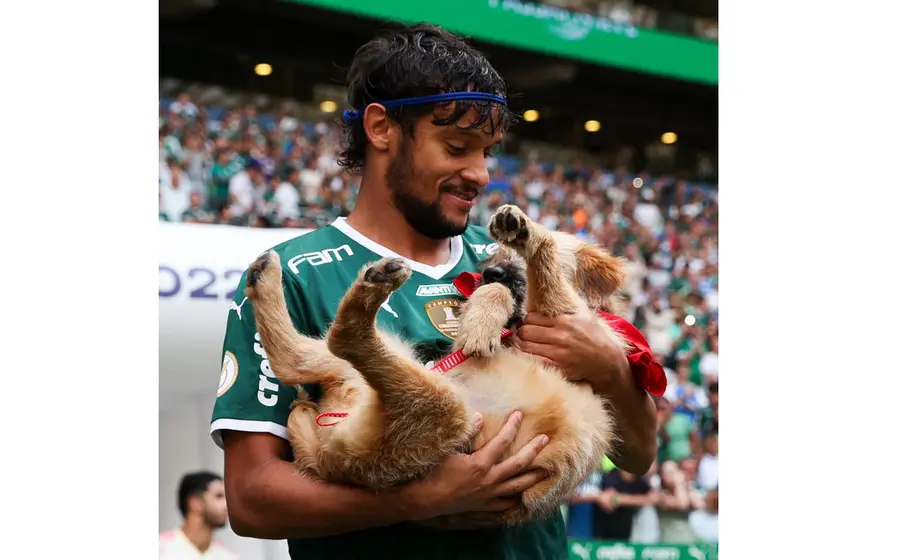 Jugadores de Palmeiras