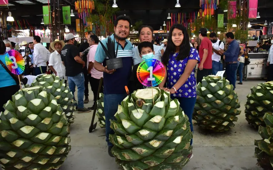 piña_de_maguey