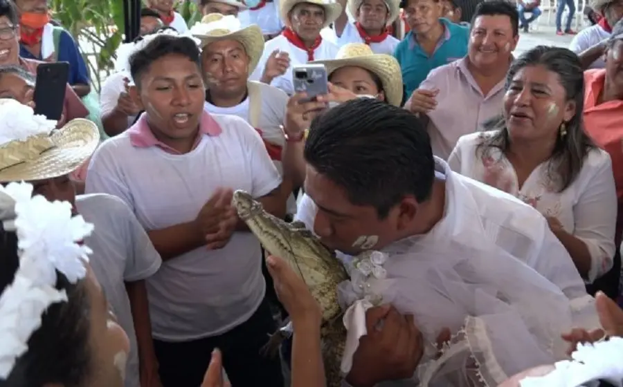 casamiento-con-lagarto 