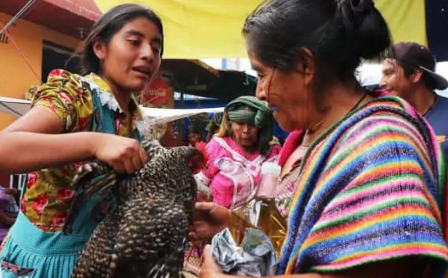 trueque-oaxaca