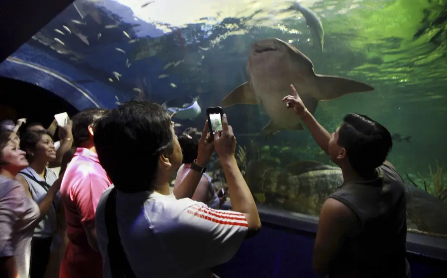 acuario_de_veracruz