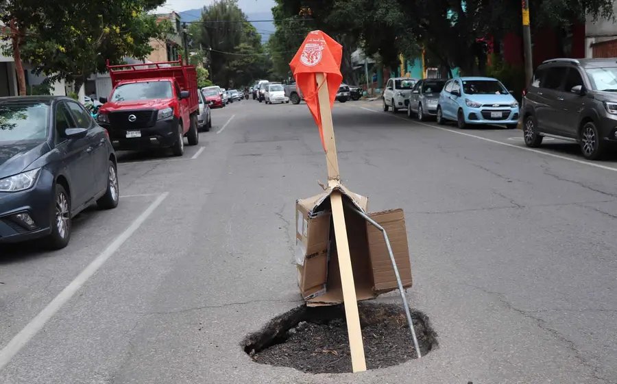 bache 