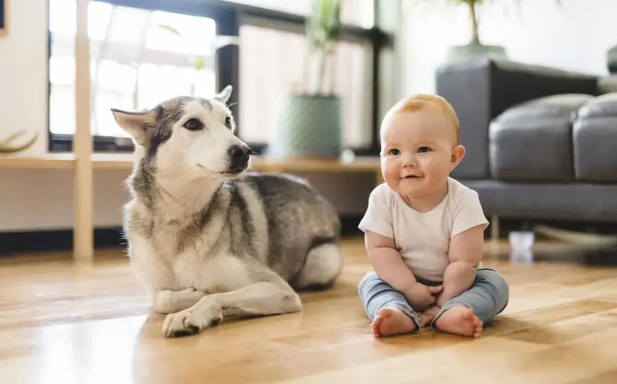 perro_y_bebe