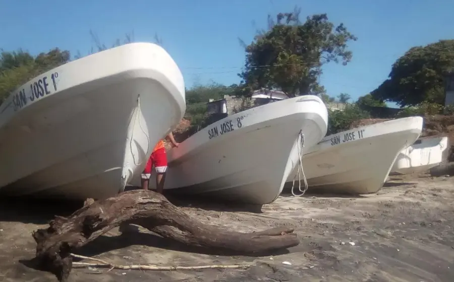 botes 