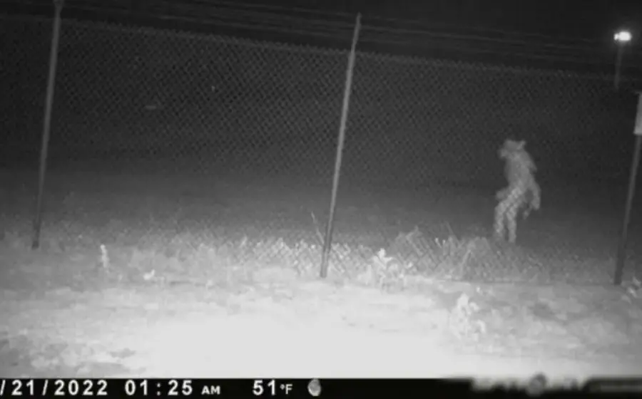 camara-seguridad-chupacabras-zoologico 