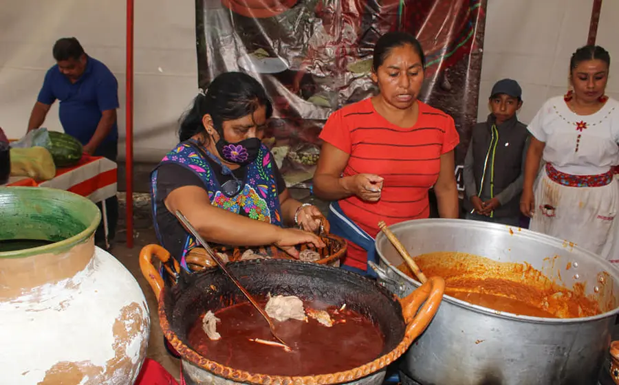 comida-conejo